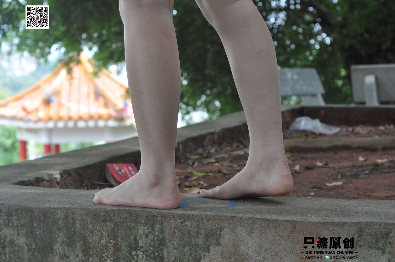 图片[232]-[只糖棉袜] NO.004 小蝶－匡威和VANS 在线浏览 – 速更版-美库