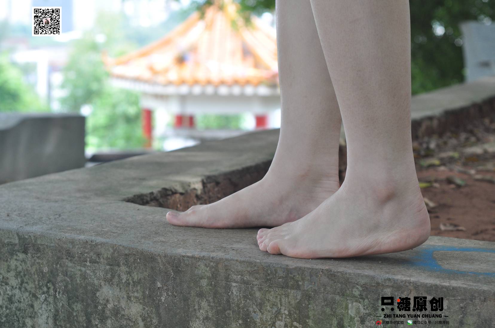 图片[16]-[只糖棉袜] NO.004 小蝶－匡威和VANS 在线浏览 – 速更版-美库