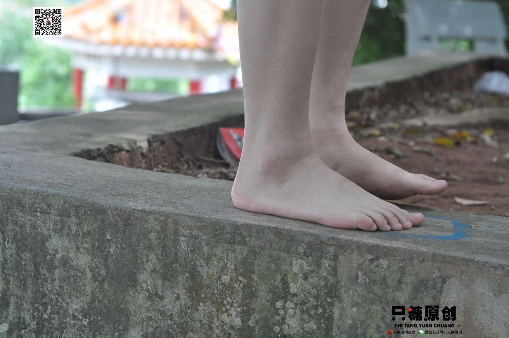 图片[235]-[只糖棉袜] NO.004 小蝶－匡威和VANS 在线浏览 – 速更版-美库