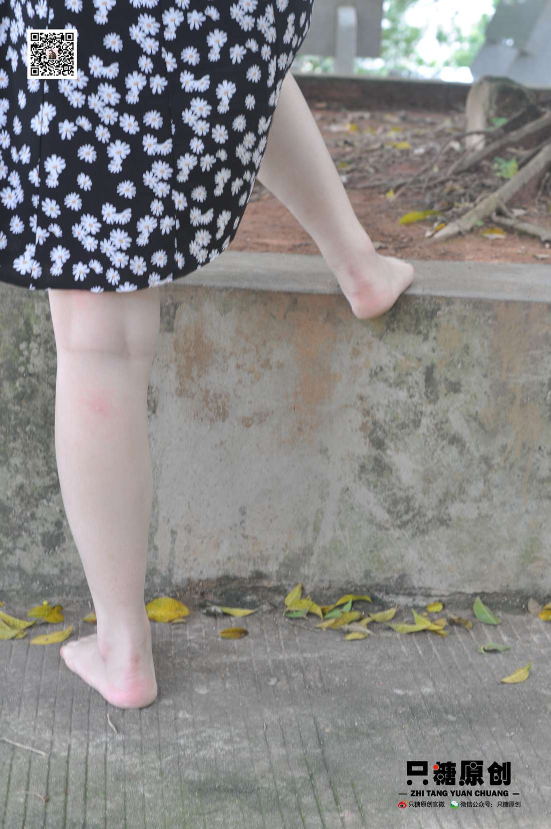 图片[163]-[只糖棉袜] NO.004 小蝶－匡威和VANS 在线浏览 – 速更版-美库