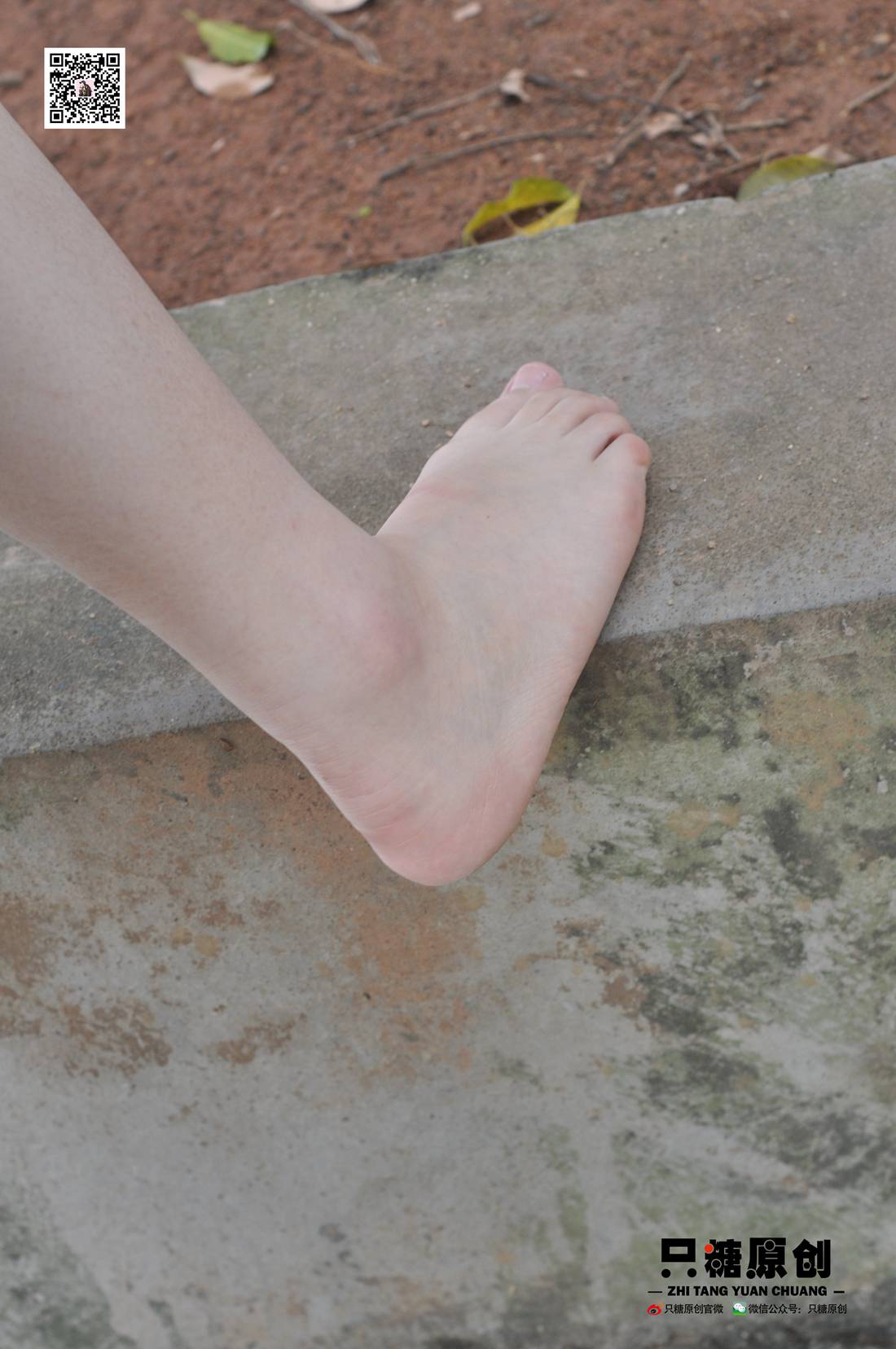 图片[100]-[只糖棉袜] NO.004 小蝶－匡威和VANS 在线浏览 – 速更版-美库