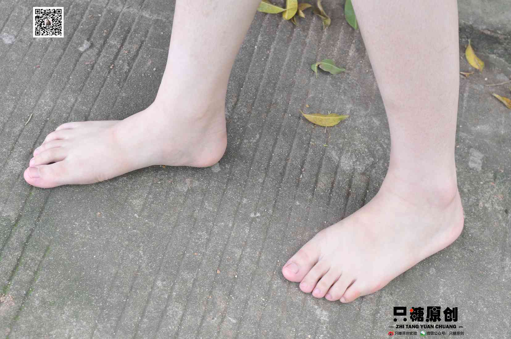 图片[66]-[只糖棉袜] NO.004 小蝶－匡威和VANS 在线浏览 – 速更版-美库