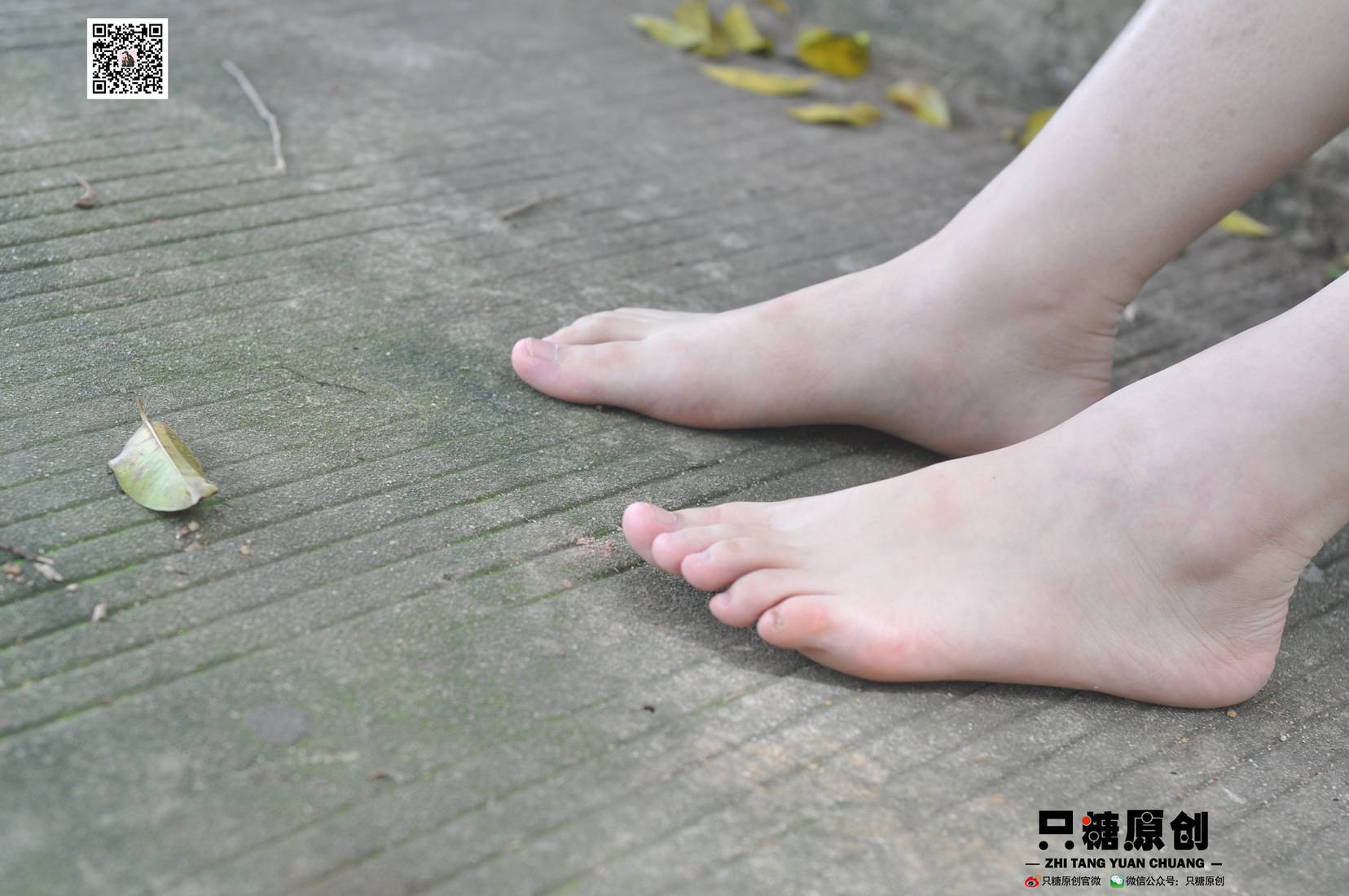 图片[250]-[只糖棉袜] NO.004 小蝶－匡威和VANS 在线浏览 – 速更版-美库