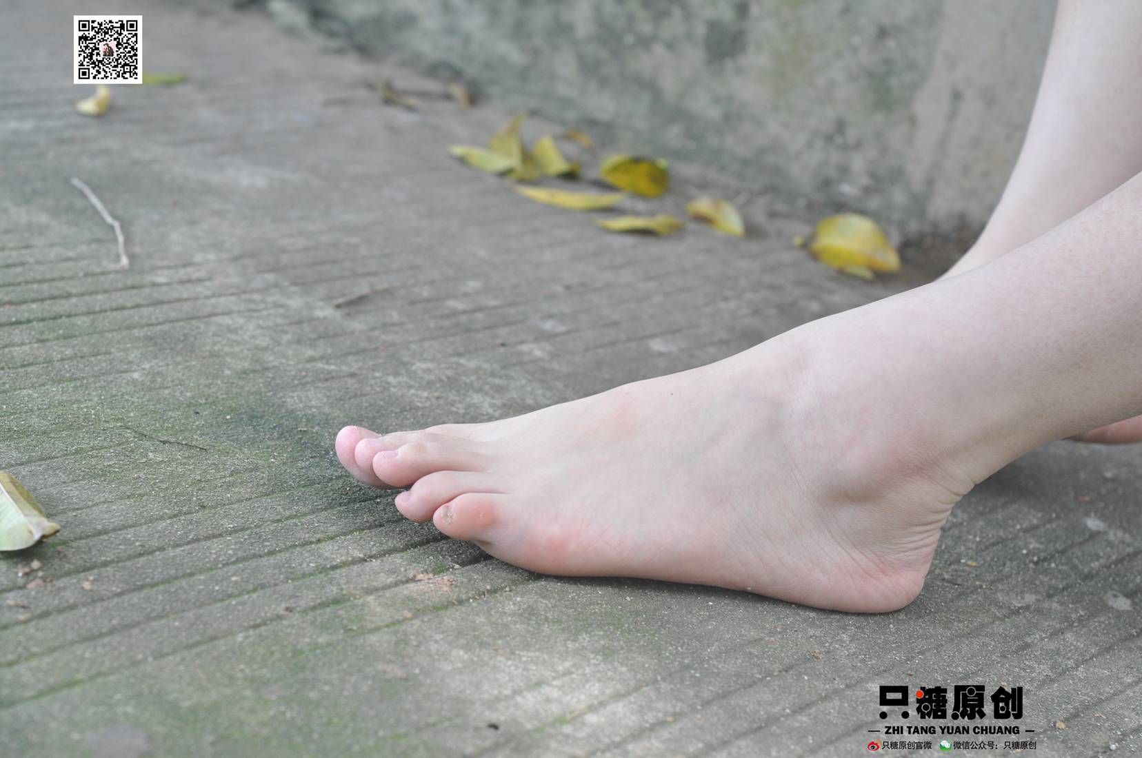 图片[123]-[只糖棉袜] NO.004 小蝶－匡威和VANS 在线浏览 – 速更版-美库