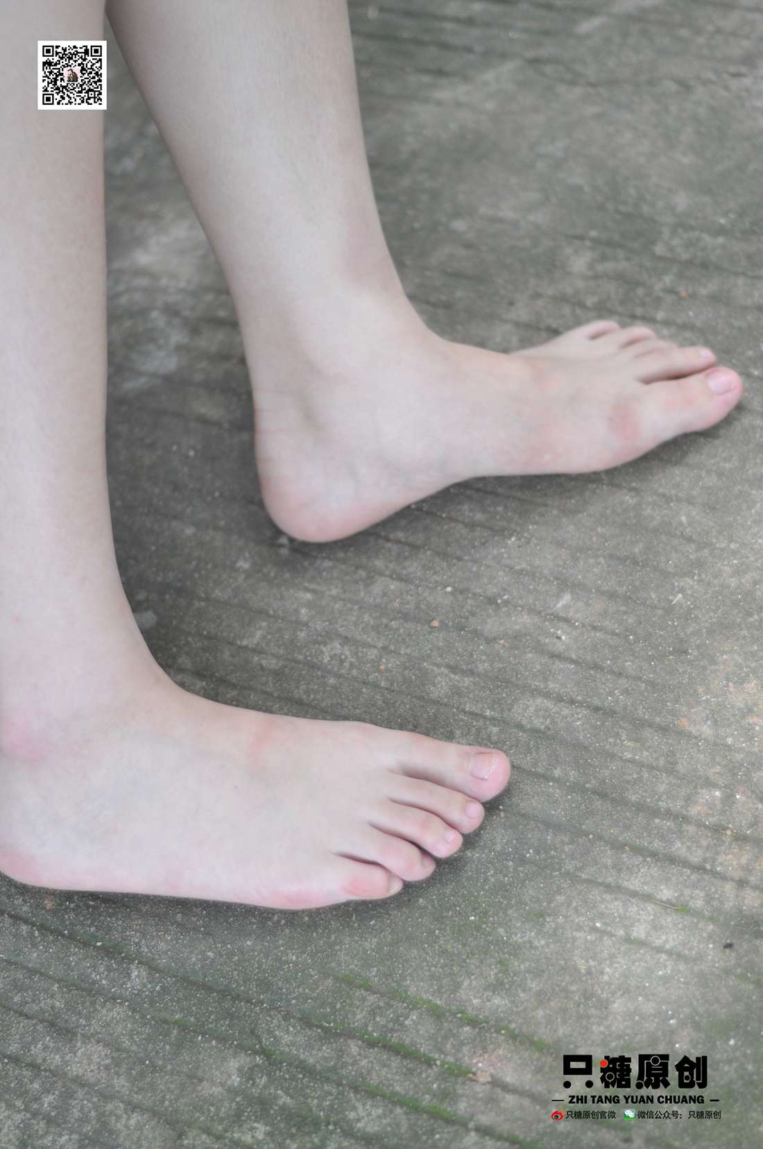 图片[237]-[只糖棉袜] NO.004 小蝶－匡威和VANS 在线浏览 – 速更版-美库