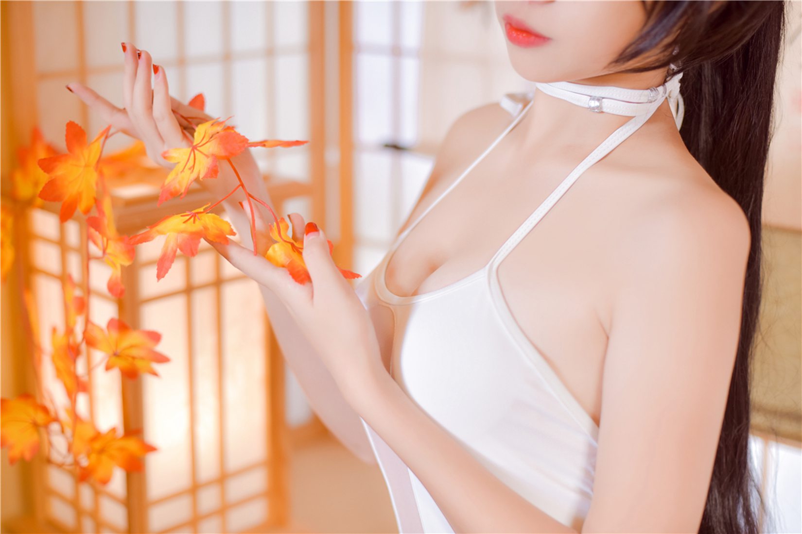 [风之领域] No.205 COS指挥官 在线浏览 – 雅色汇