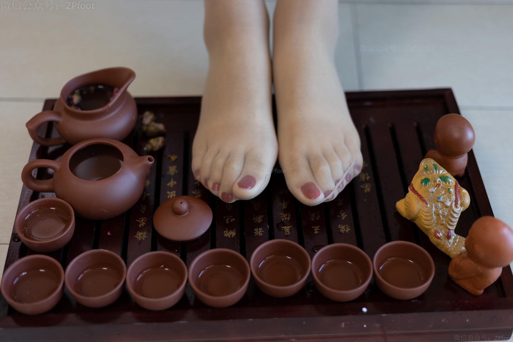 图片[65]-[山茶摄影] No.063 丝泡茶 在线浏览 – 速更版-美库