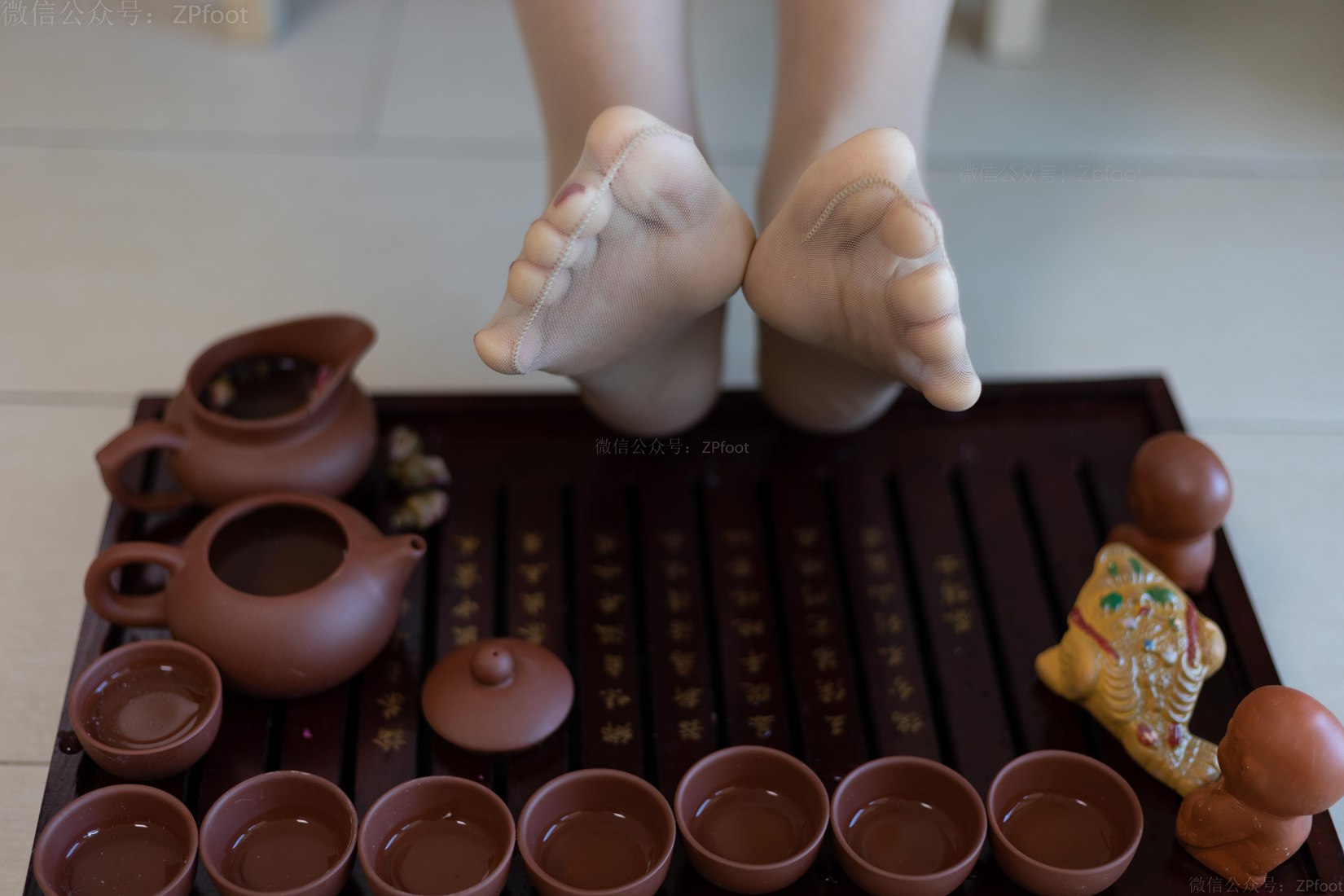 图片[52]-[山茶摄影] No.063 丝泡茶 在线浏览 – 速更版-美库