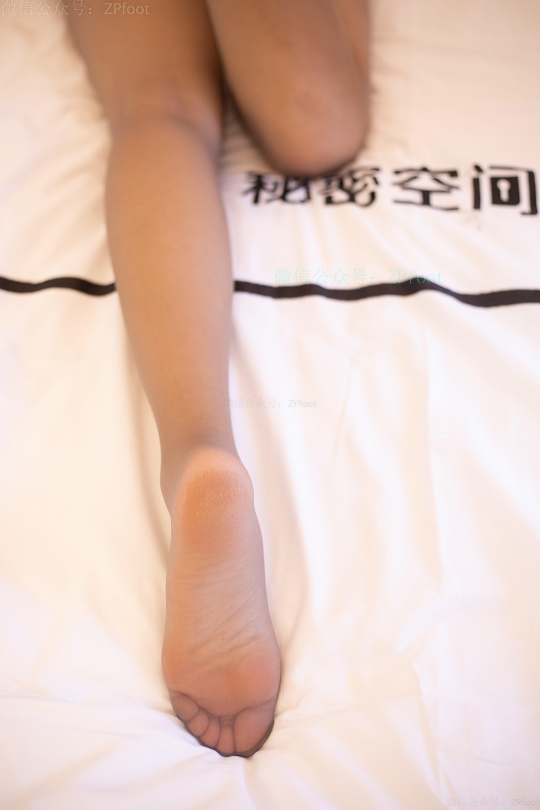 图片[66]-[山茶摄影] No.071 超薄灰丝 在线浏览 – 速更版-美库