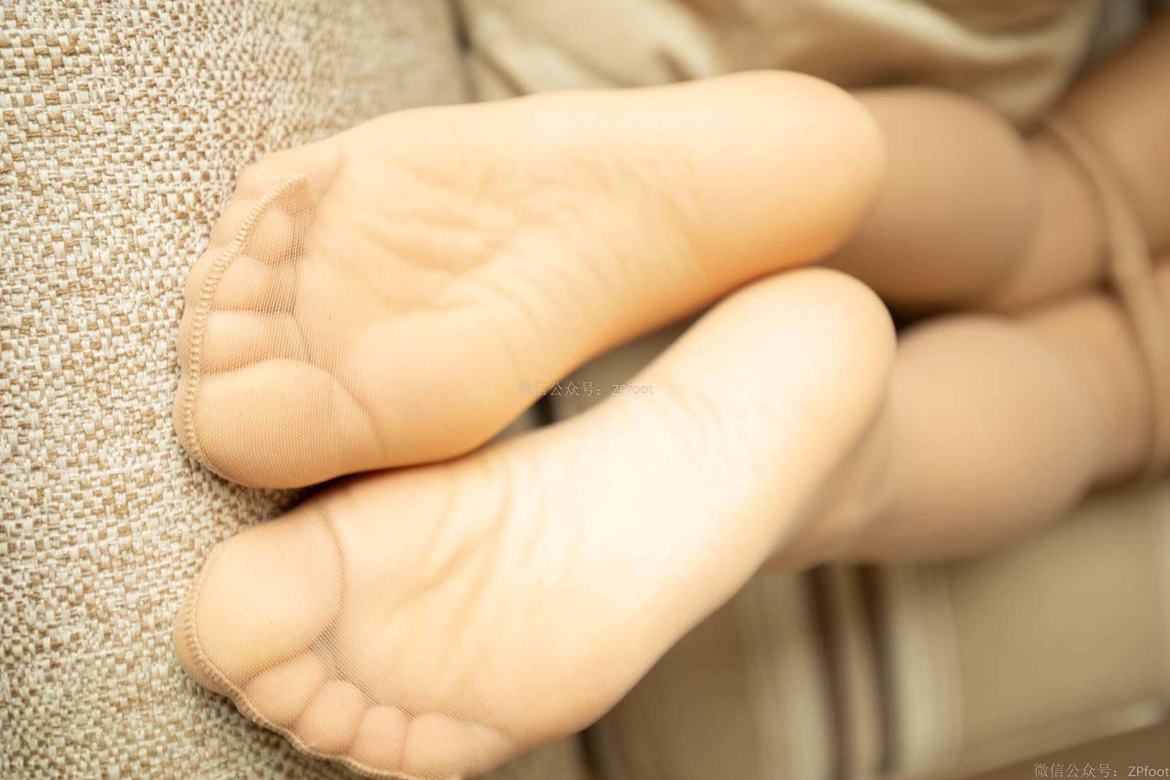 图片[51]-[山茶摄影] No.076 大一外国语 在线浏览 – 速更版-美库