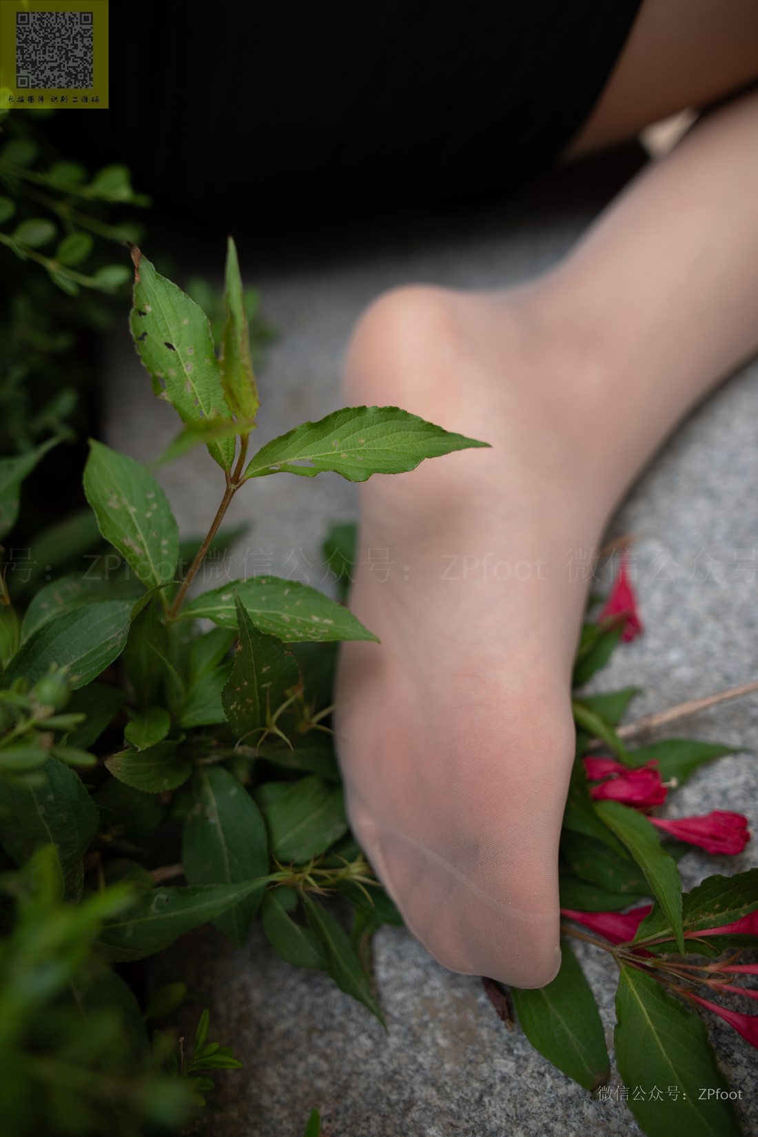 图片[27]-[山茶摄影] NO.135 夏日小雪肉丝 在线浏览 – 速更版-美库