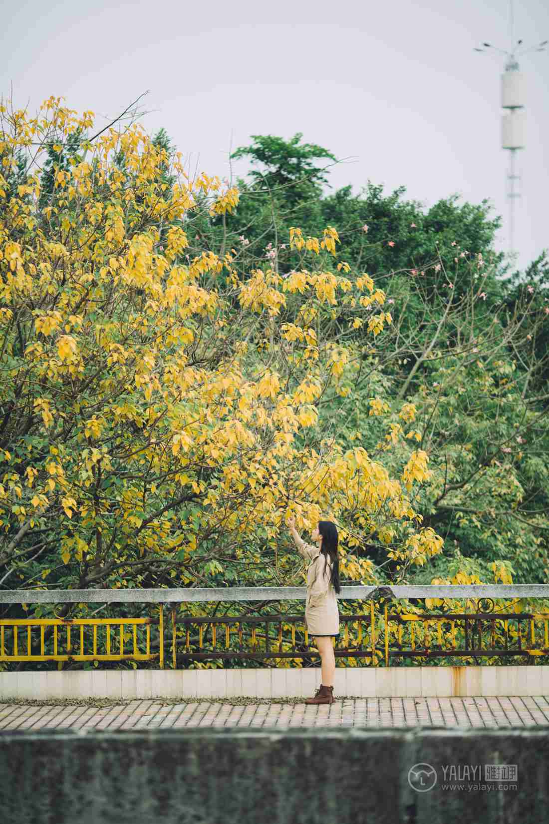 图片[18]-[YALAYI雅拉伊] 2019.01.30 No.179 焦糖色少女 阿惜 在线浏览 – 速更版-美库