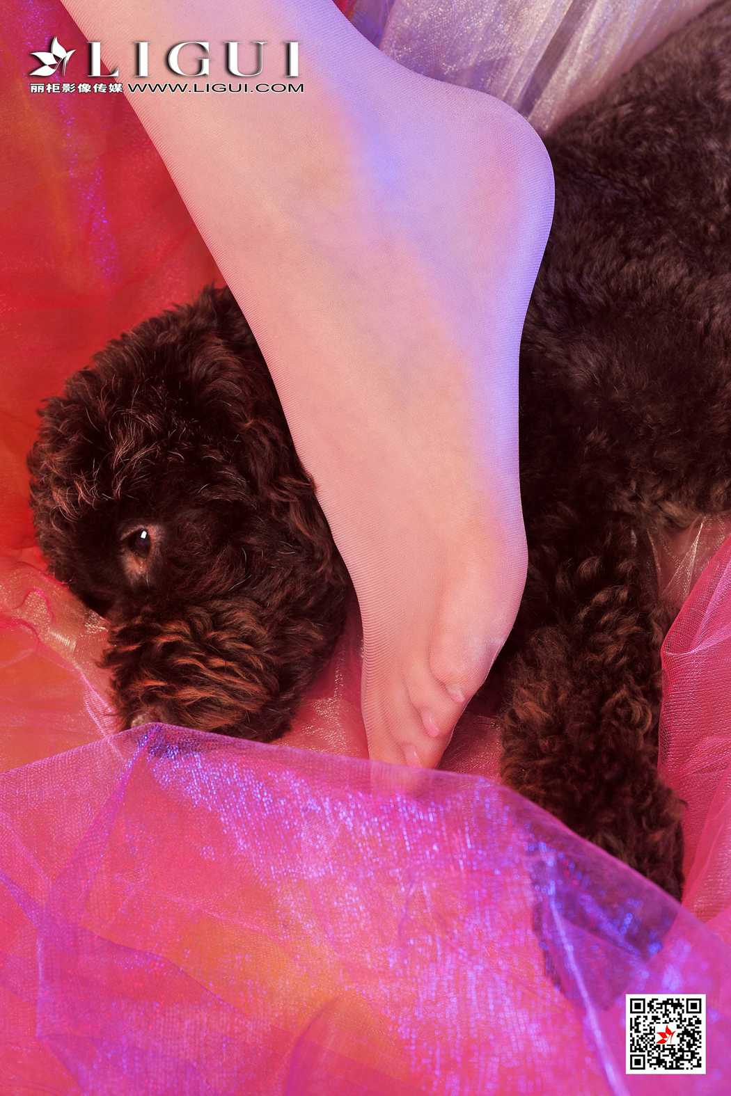 图片[55]-[Ligui丽柜] 2019.06.16 网络丽人 Model 美辰 在线浏览 – 速更版-美库