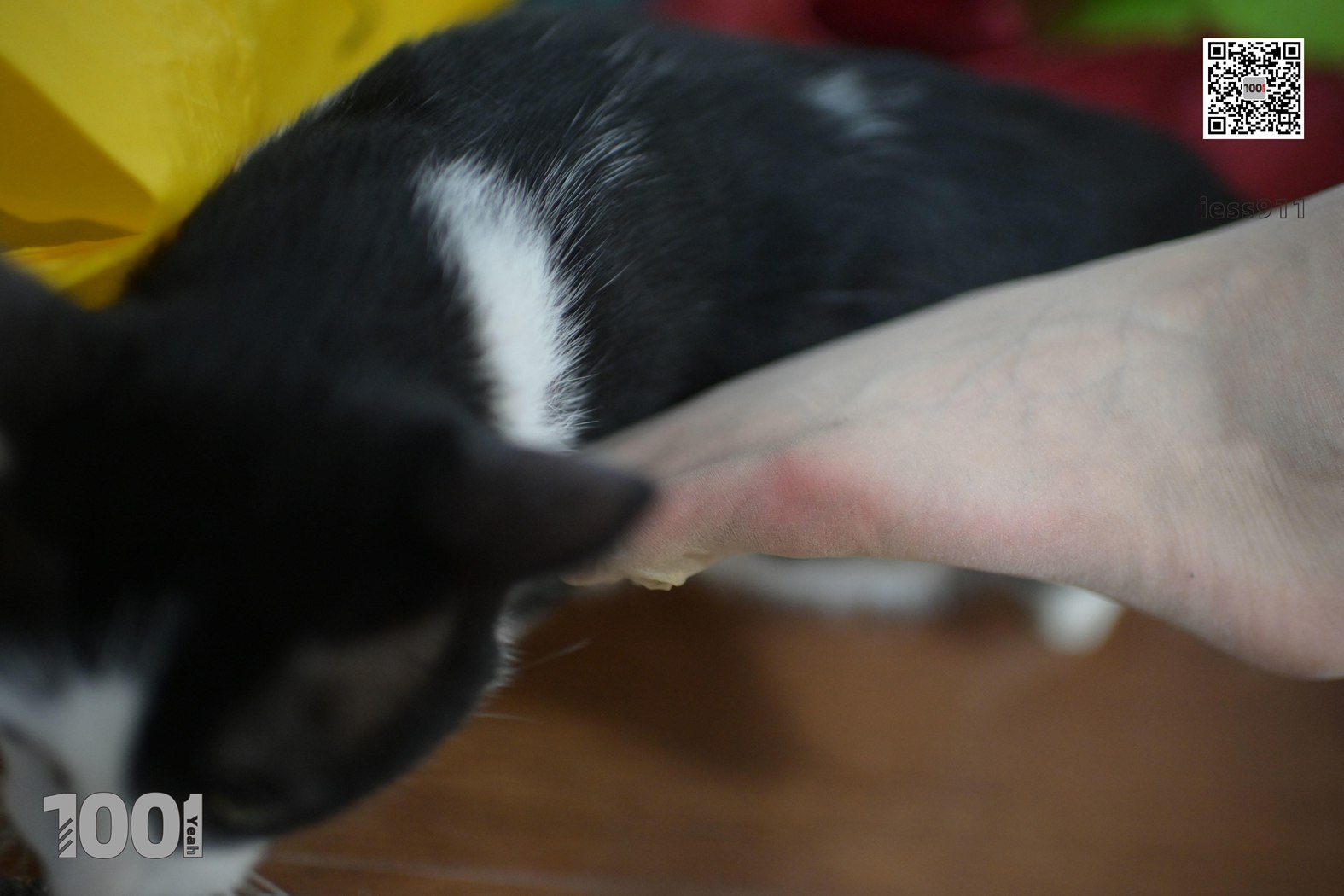 图片[19]-[IESS异思趣向] 一千零一夜 NO.005《网络女主播的私生活1》在线浏览 – 速更版-美库