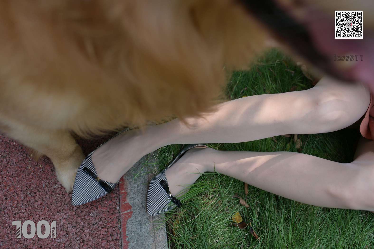 图片[17]-[IESS异思趣向] 一千零一夜 NO.032 真真《家有萌宠1》在线浏览 – 速更版-美库