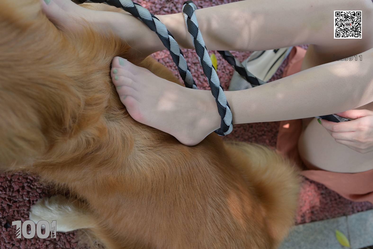 图片[80]-[IESS异思趣向] 一千零一夜 NO.033 真真《家有萌宠2》在线浏览 – 速更版-美库