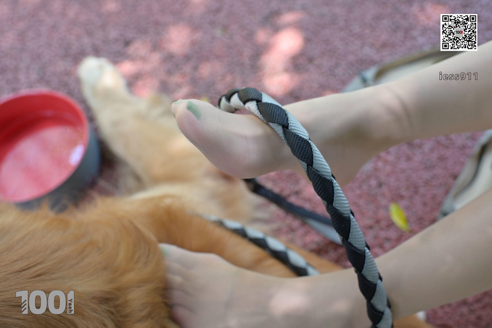 图片[34]-[IESS异思趣向] 一千零一夜 NO.033 真真《家有萌宠2》在线浏览 – 速更版-美库