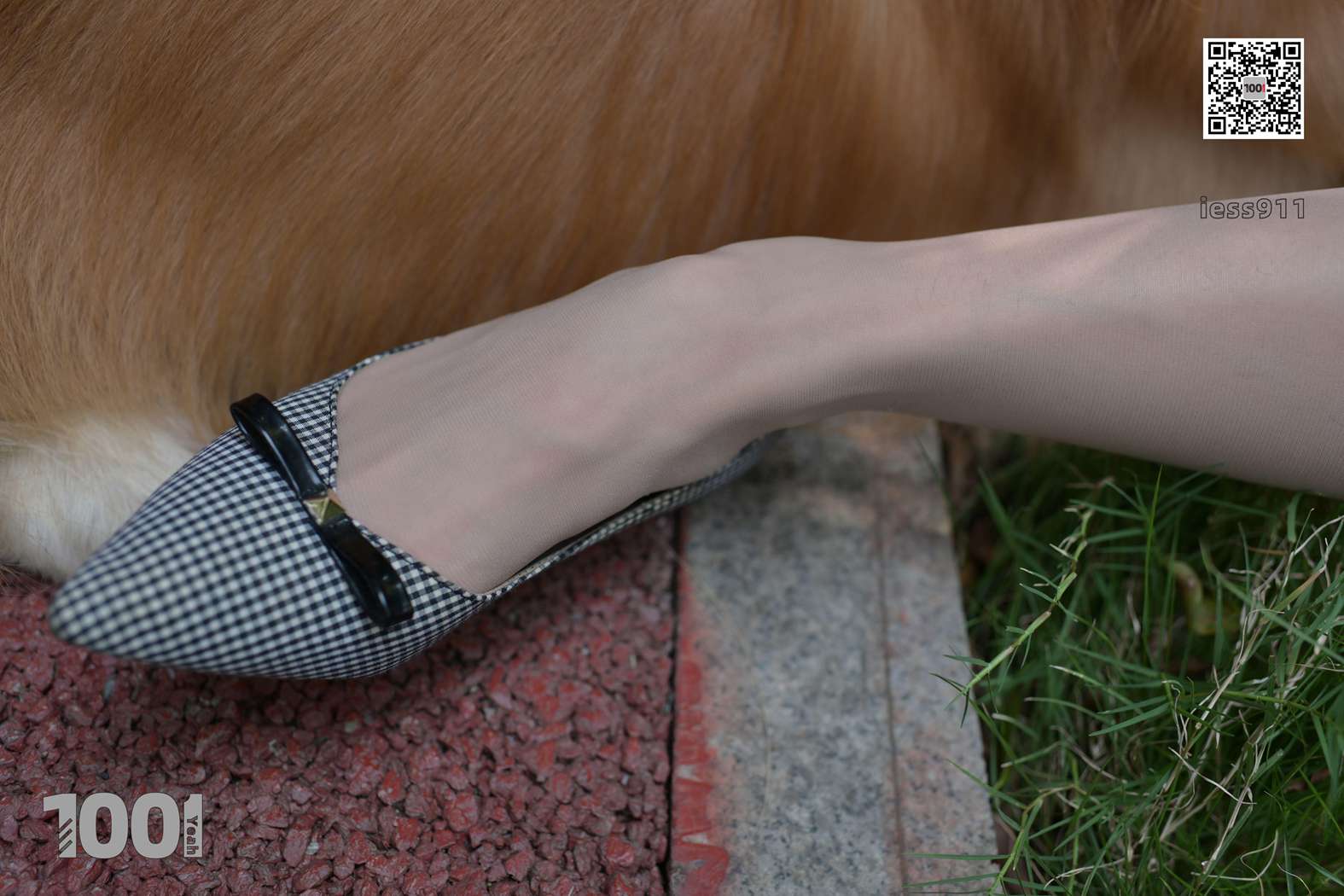 图片[13]-[IESS异思趣向] 一千零一夜 NO.032 真真《家有萌宠1》在线浏览 – 速更版-美库