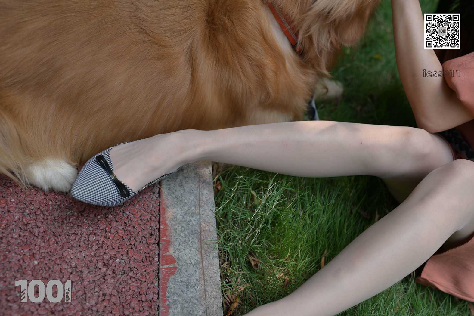 图片[36]-[IESS异思趣向] 一千零一夜 NO.032 真真《家有萌宠1》在线浏览 – 速更版-美库