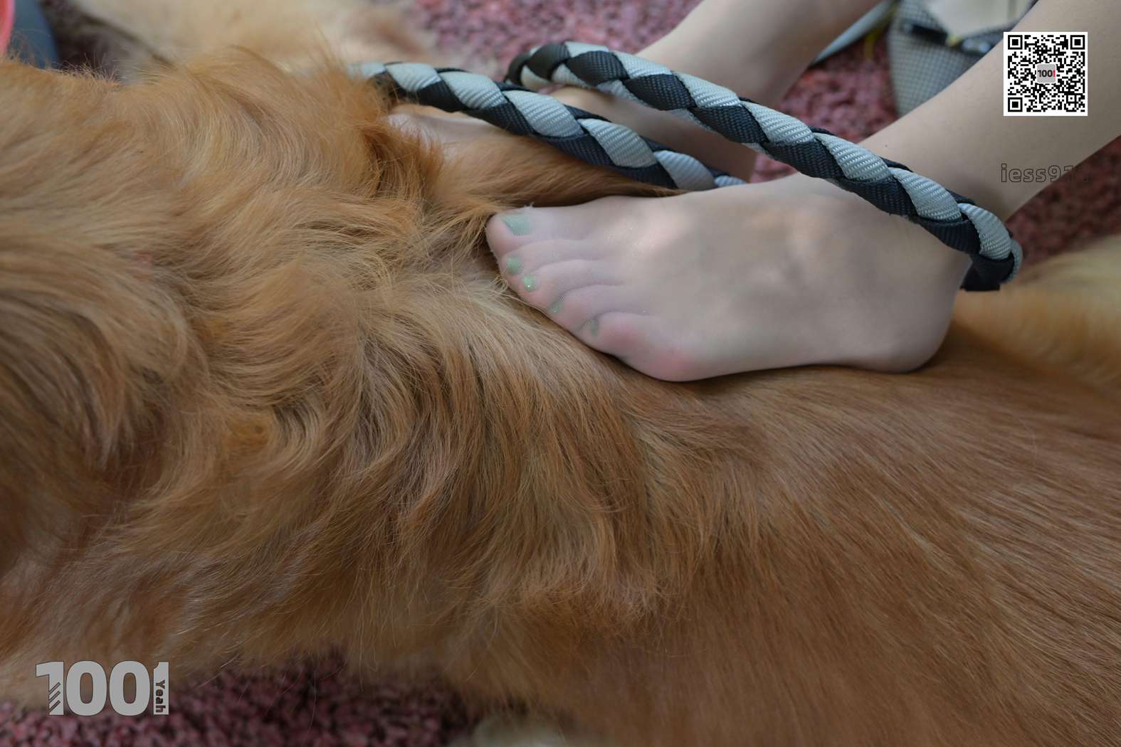 图片[78]-[IESS异思趣向] 一千零一夜 NO.033 真真《家有萌宠2》在线浏览 – 速更版-美库