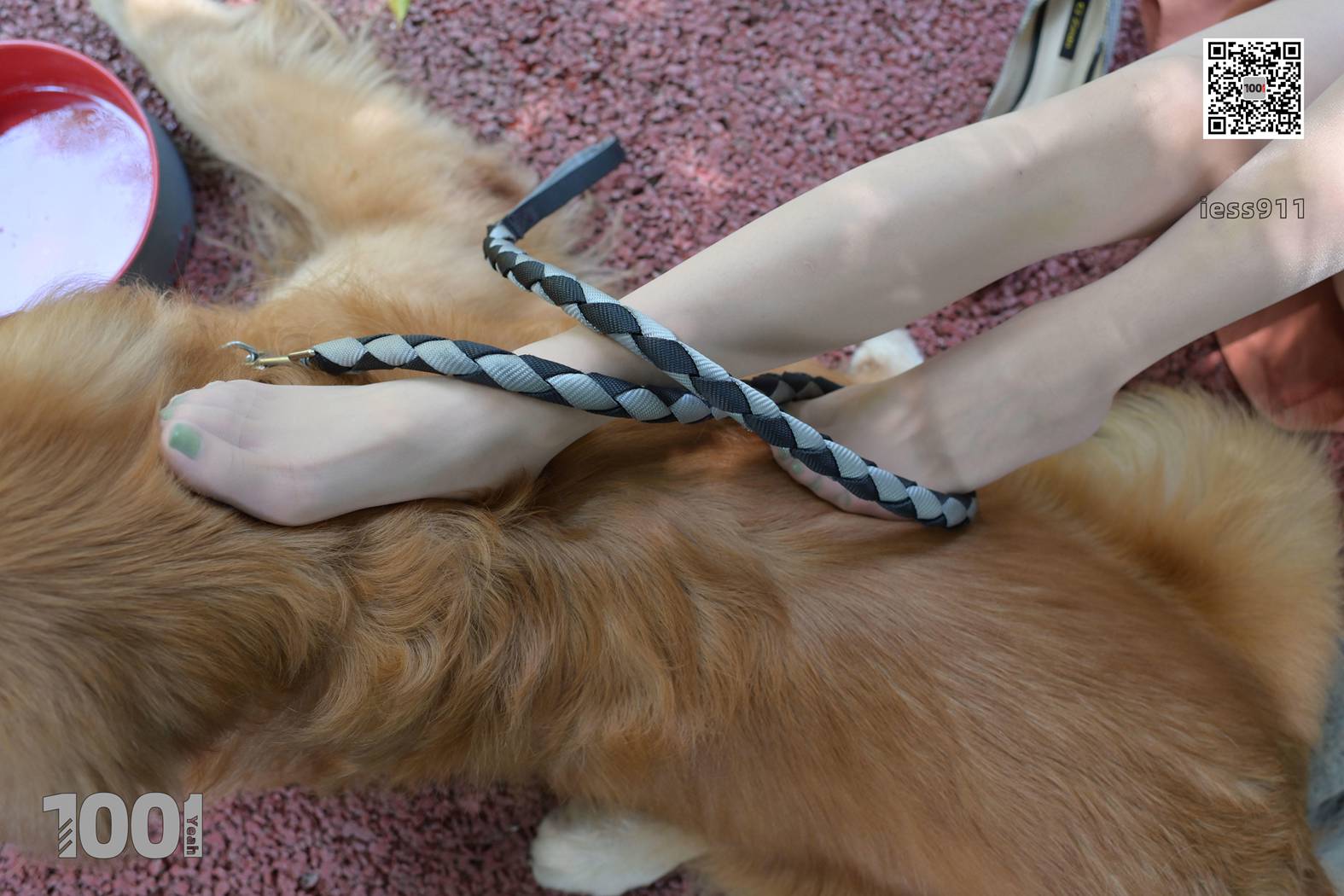 图片[71]-[IESS异思趣向] 一千零一夜 NO.033 真真《家有萌宠2》在线浏览 – 速更版-美库