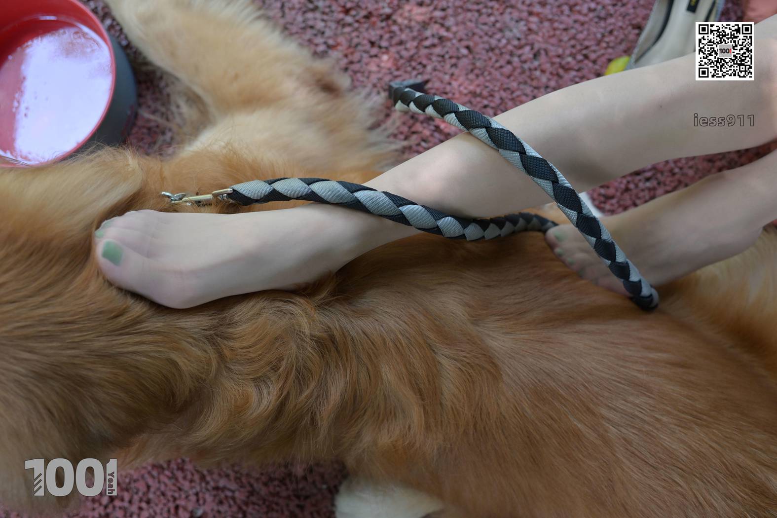 图片[22]-[IESS异思趣向] 一千零一夜 NO.033 真真《家有萌宠2》在线浏览 – 速更版-美库