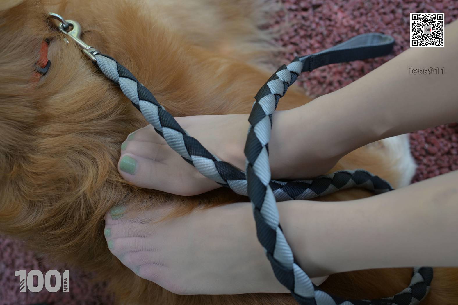 图片[29]-[IESS异思趣向] 一千零一夜 NO.033 真真《家有萌宠2》在线浏览 – 速更版-美库