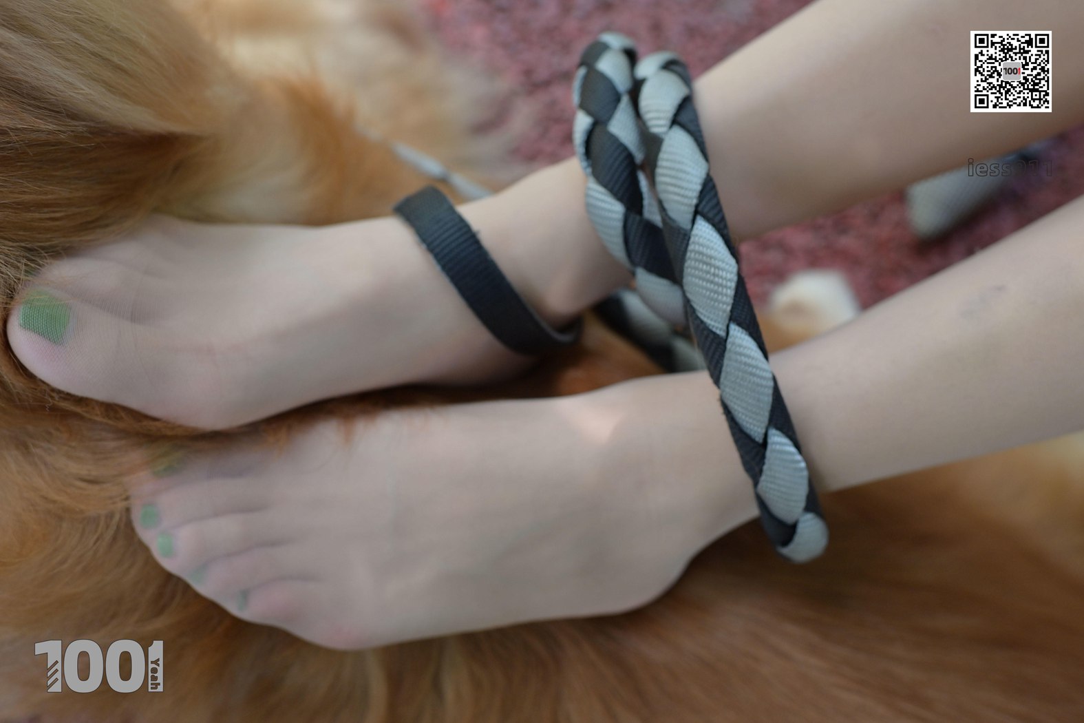 图片[37]-[IESS异思趣向] 一千零一夜 NO.033 真真《家有萌宠2》在线浏览 – 速更版-美库