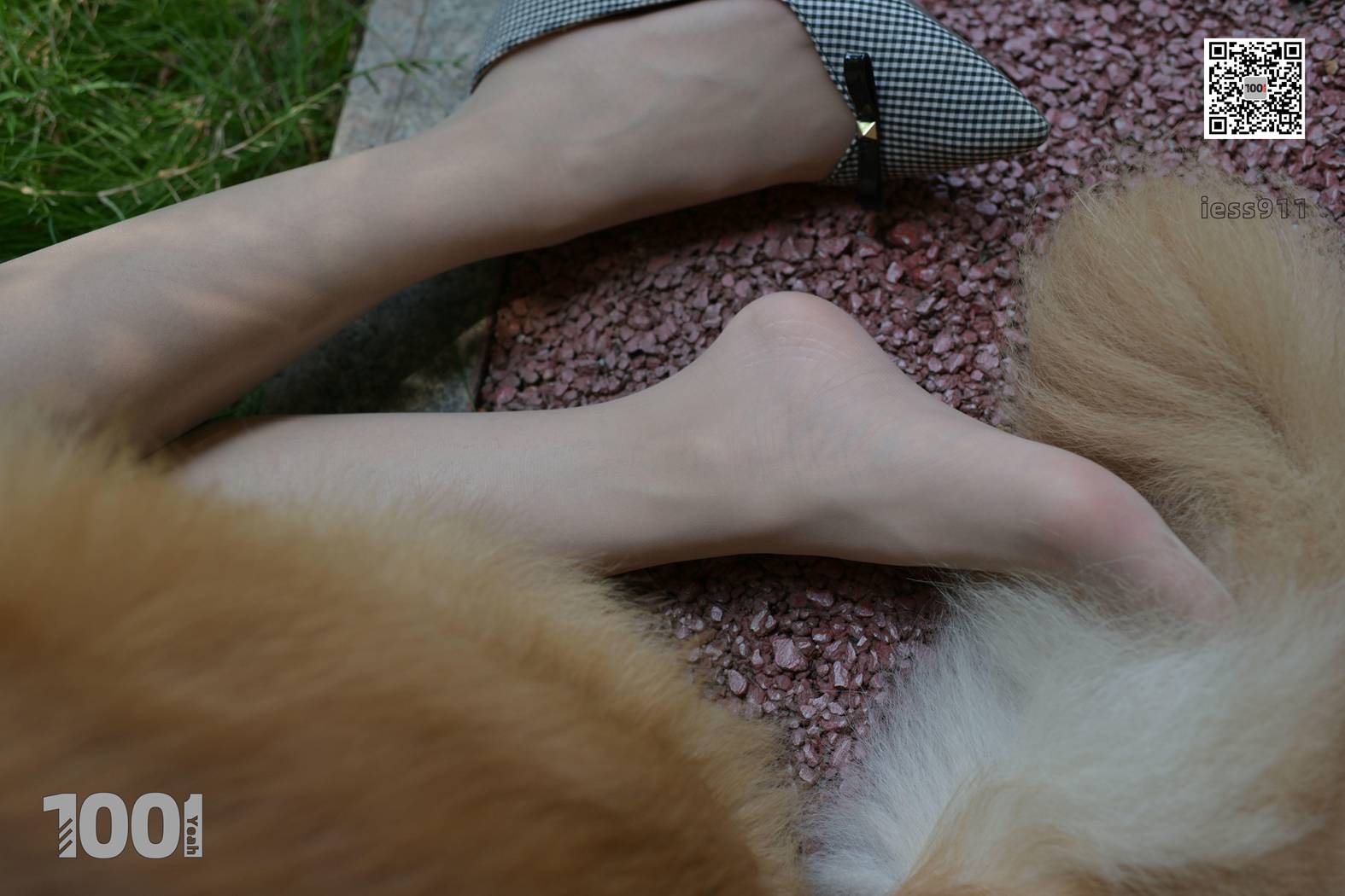 图片[58]-[IESS异思趣向] 一千零一夜 NO.032 真真《家有萌宠1》在线浏览 – 速更版-美库