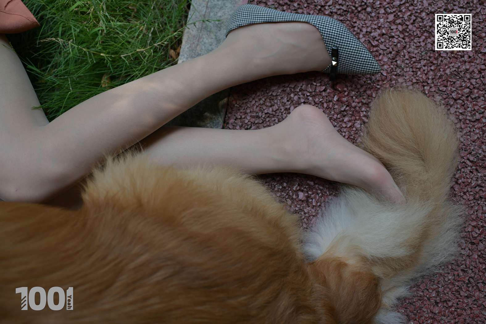 图片[99]-[IESS异思趣向] 一千零一夜 NO.032 真真《家有萌宠1》在线浏览 – 速更版-美库