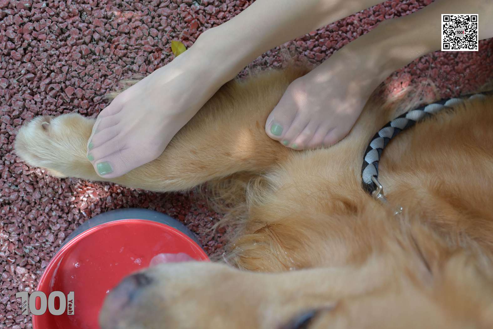 图片[58]-[IESS异思趣向] 一千零一夜 NO.033 真真《家有萌宠2》在线浏览 – 速更版-美库