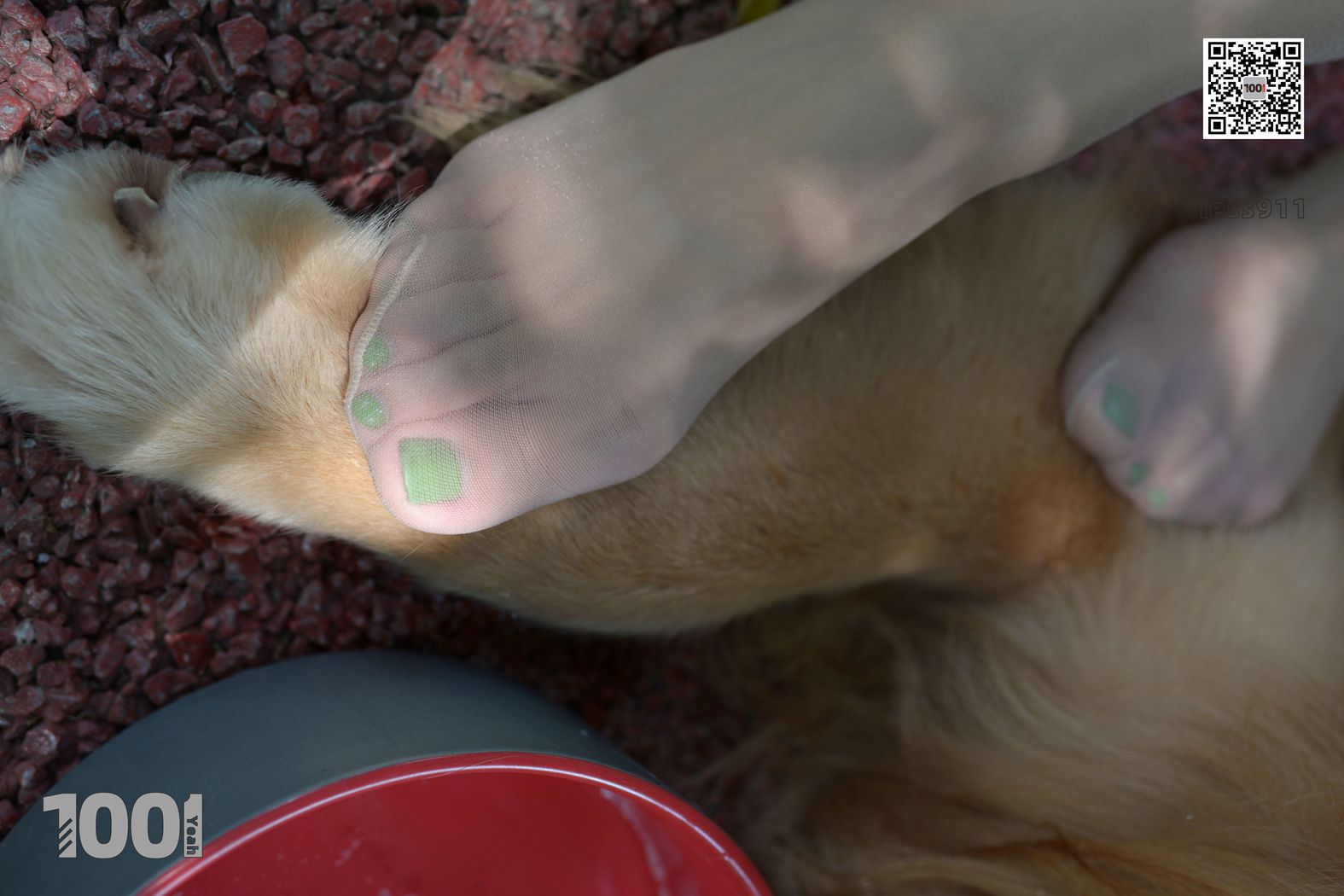 图片[43]-[IESS异思趣向] 一千零一夜 NO.033 真真《家有萌宠2》在线浏览 – 速更版-美库