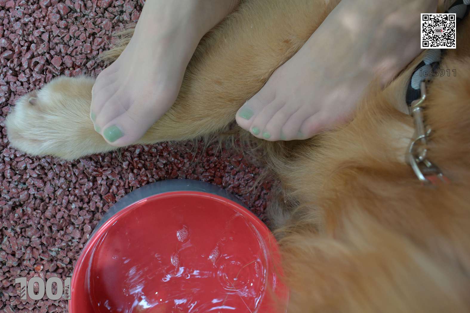 图片[49]-[IESS异思趣向] 一千零一夜 NO.033 真真《家有萌宠2》在线浏览 – 速更版-美库