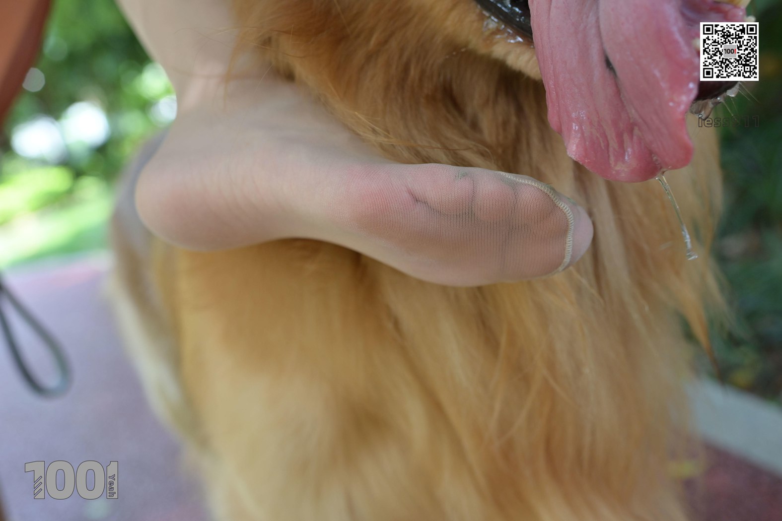 图片[76]-[IESS异思趣向] 一千零一夜 NO.032 真真《家有萌宠1》在线浏览 – 速更版-美库