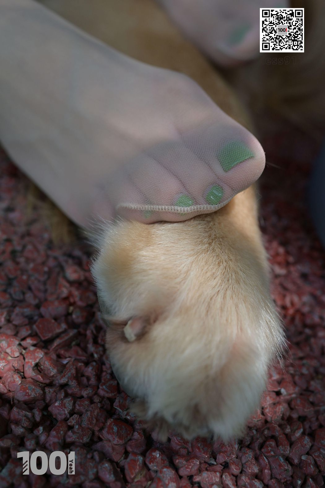 图片[79]-[IESS异思趣向] 一千零一夜 NO.033 真真《家有萌宠2》在线浏览 – 速更版-美库