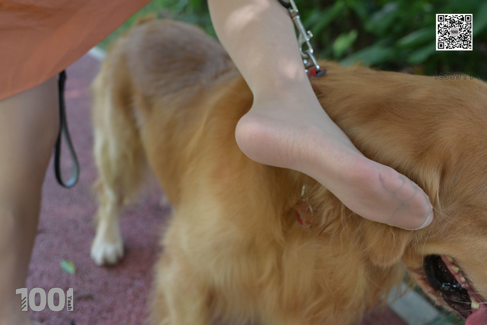 图片[97]-[IESS异思趣向] 一千零一夜 NO.032 真真《家有萌宠1》在线浏览 – 速更版-美库