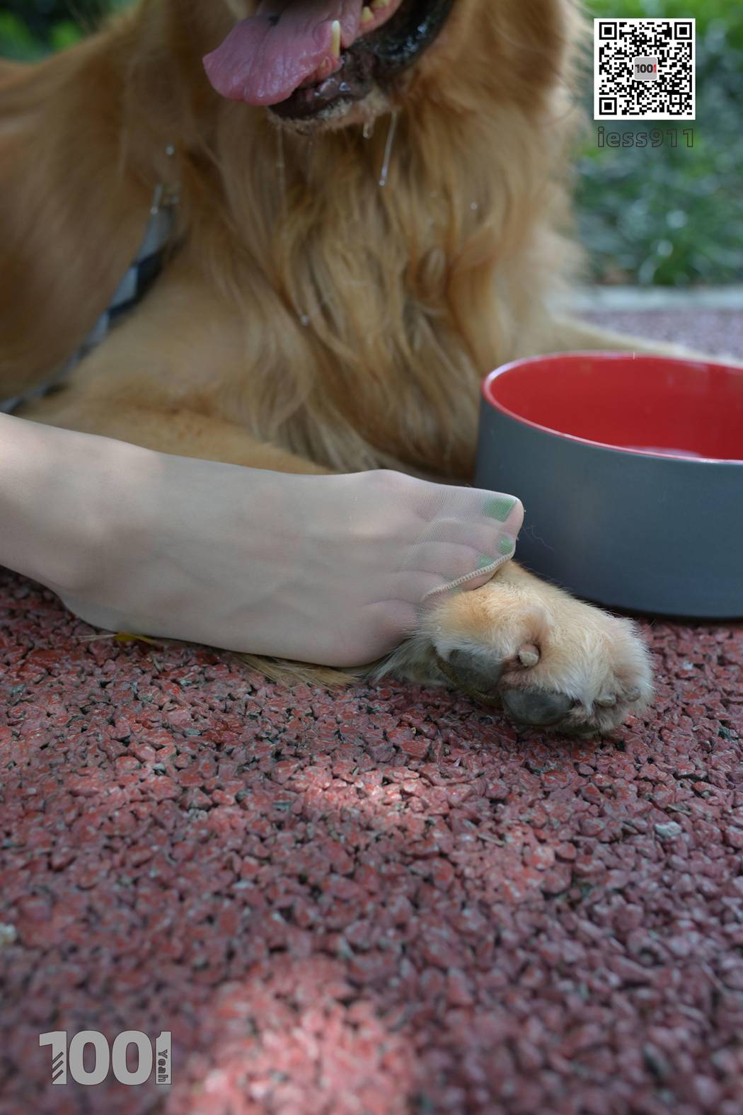 图片[5]-[IESS异思趣向] 一千零一夜 NO.033 真真《家有萌宠2》在线浏览 – 速更版-美库