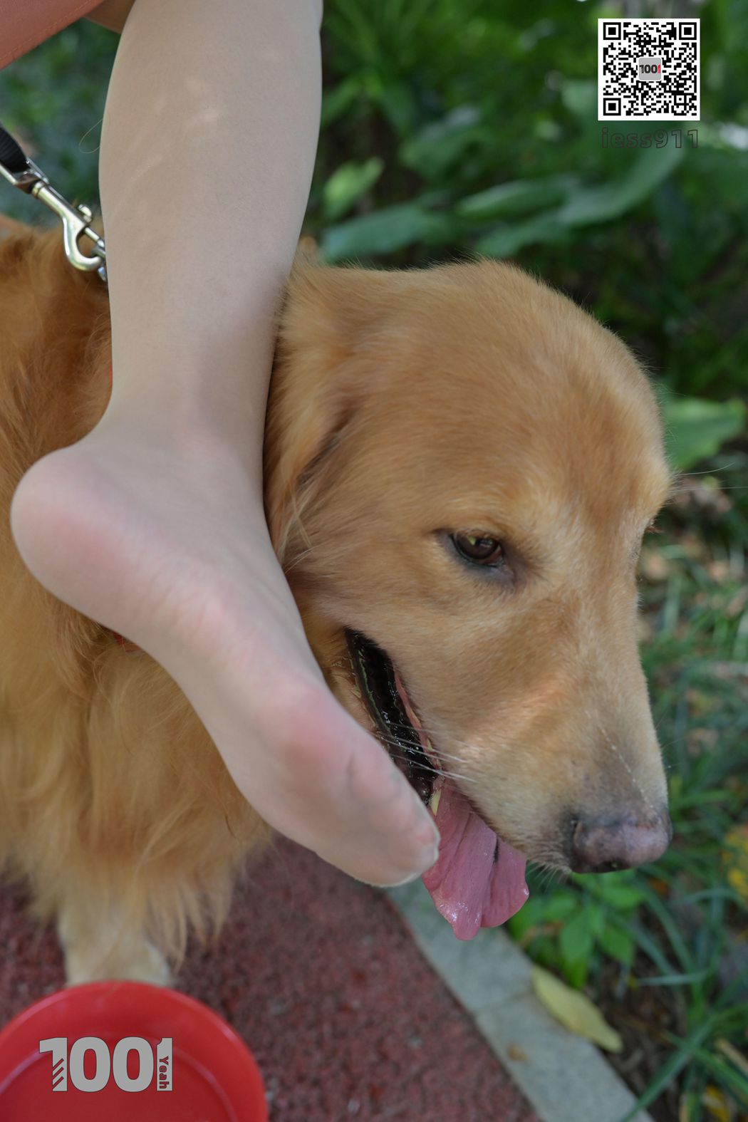 图片[73]-[IESS异思趣向] 一千零一夜 NO.032 真真《家有萌宠1》在线浏览 – 速更版-美库