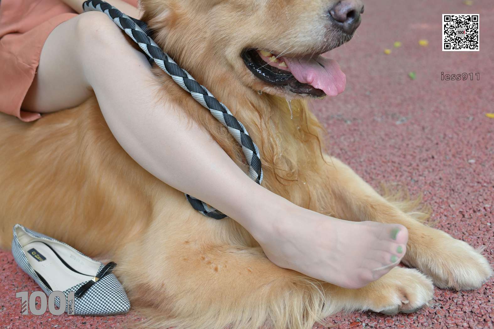 图片[40]-[IESS异思趣向] 一千零一夜 NO.033 真真《家有萌宠2》在线浏览 – 速更版-美库