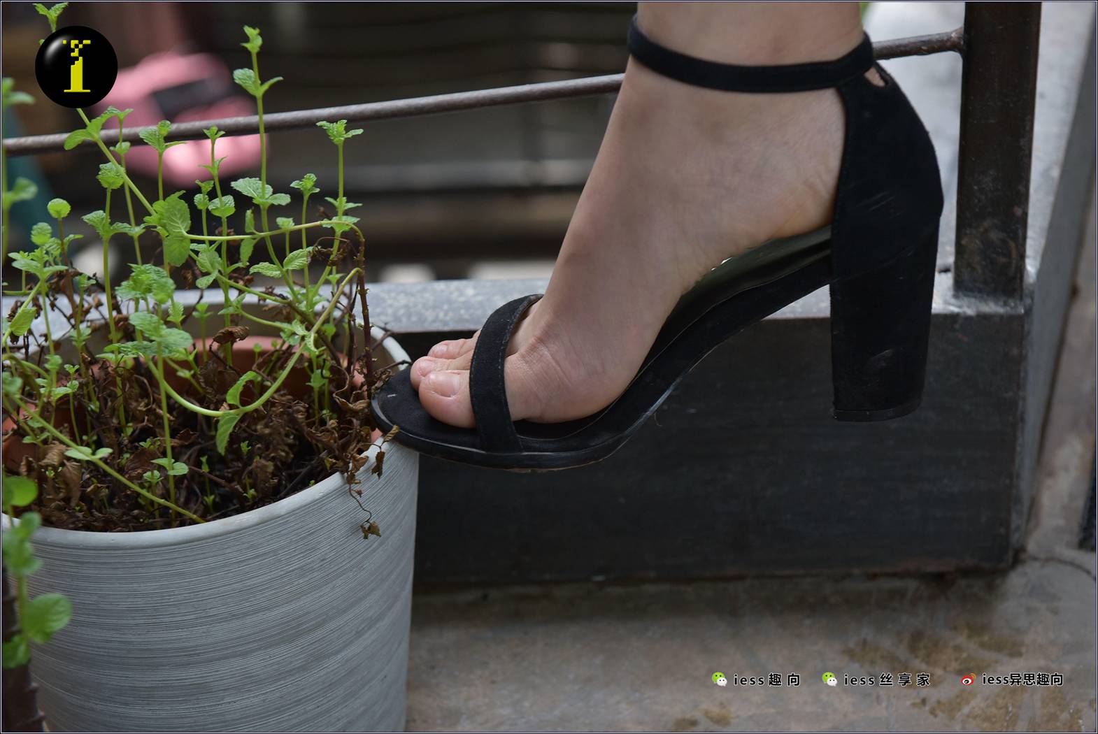 图片[53]-[IESS异思趣向] 普惠集 NO.003 琪琪的裸足 在线浏览 – 速更版-美库