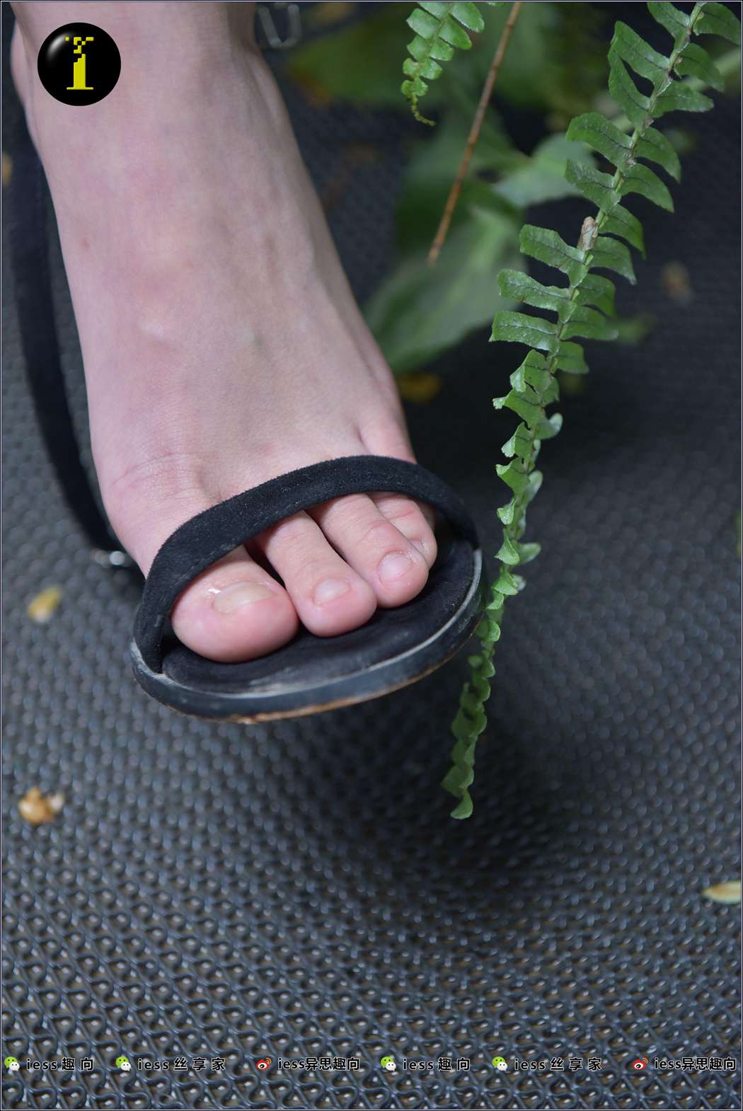 图片[40]-[IESS异思趣向] 普惠集 NO.003 琪琪的裸足 在线浏览 – 速更版-美库