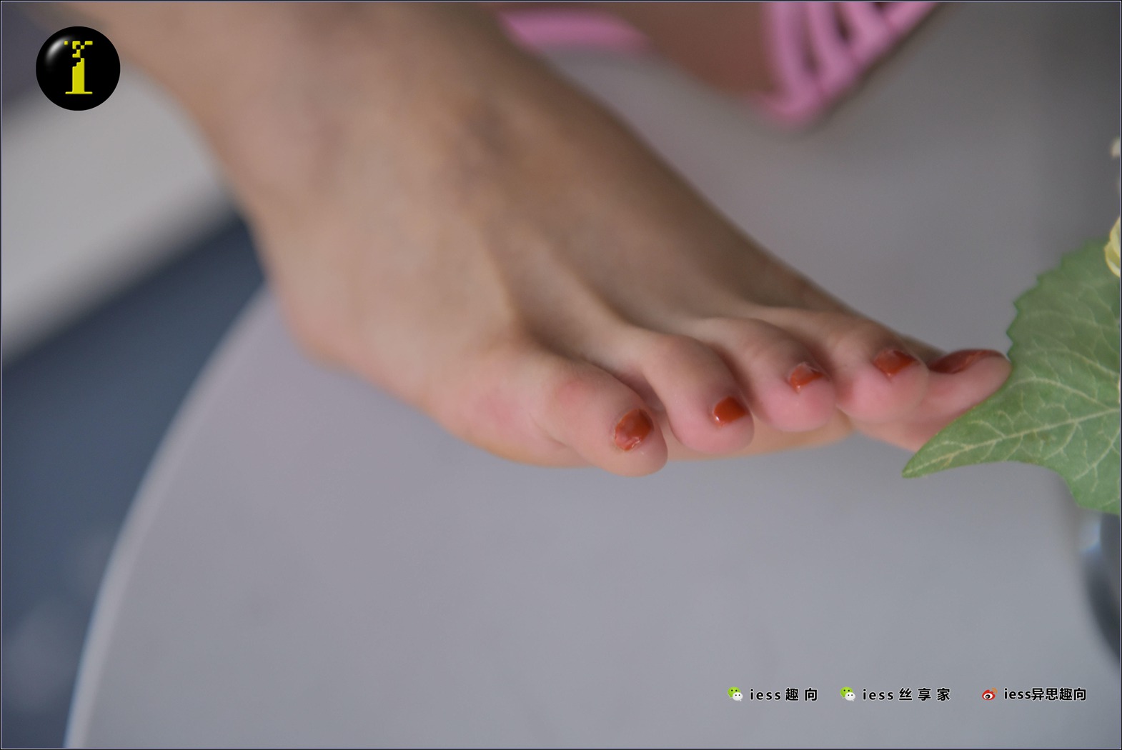 图片[65]-[IESS异思趣向] 普惠集 NO.014 素人表妹的裸足秀特写 在线浏览 – 速更版-美库