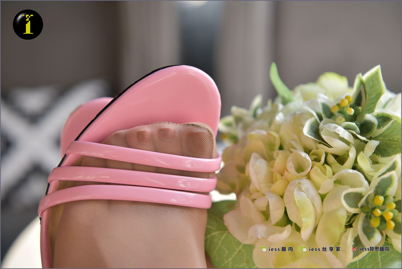 图片[7]-[IESS异思趣向] 普惠集 NO.015 素人表妹 穿穿脱脱 在线浏览 – 速更版-美库