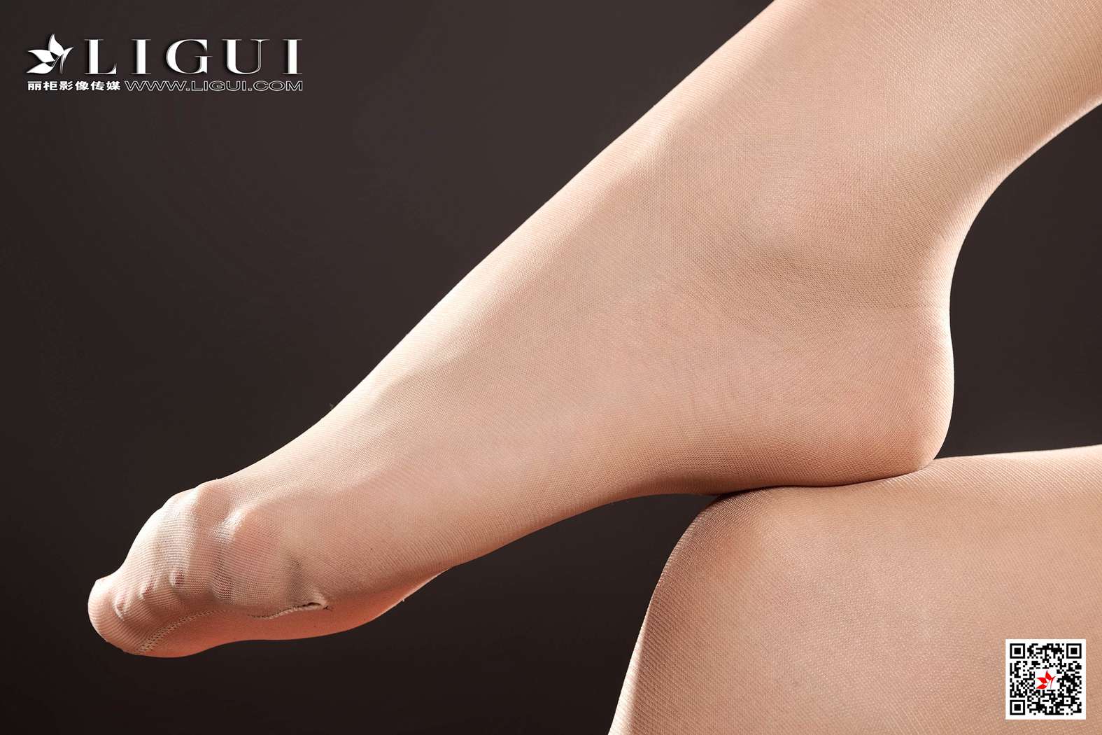 [Ligui丽柜] 2020.02.24 网络丽人 Model 可馨 在线浏览 – 优选-优选资源网