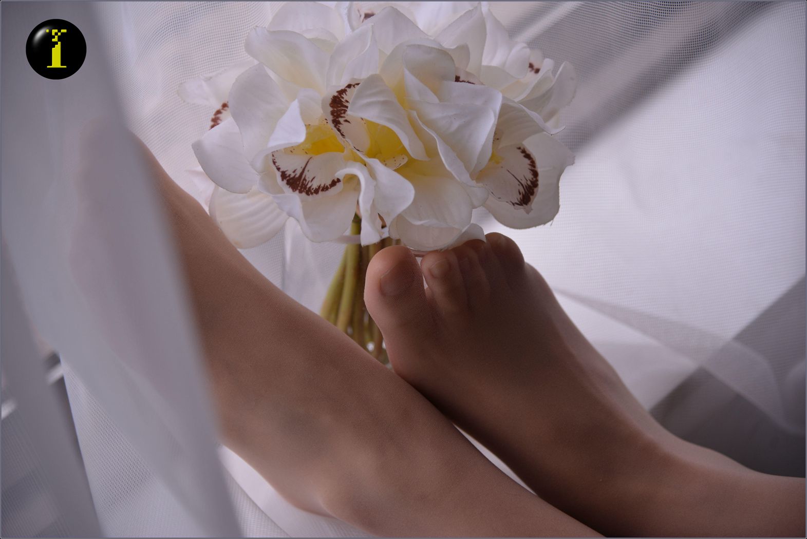 图片[8]-[IESS异思趣向] 普惠集 036-幸子 粉嫩的小品 在线浏览 – 速更版-美库