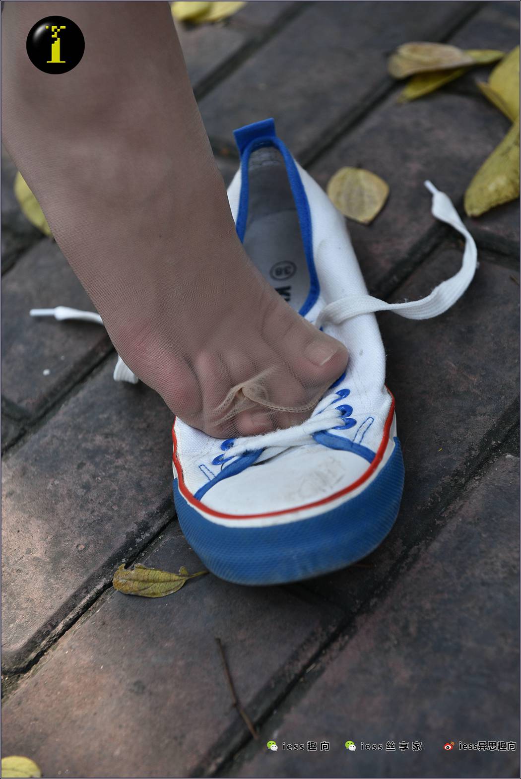 图片[73]-[IESS异思趣向] 普惠集 033 琪琪 16岁的单车少女 在线浏览 – 速更版-美库