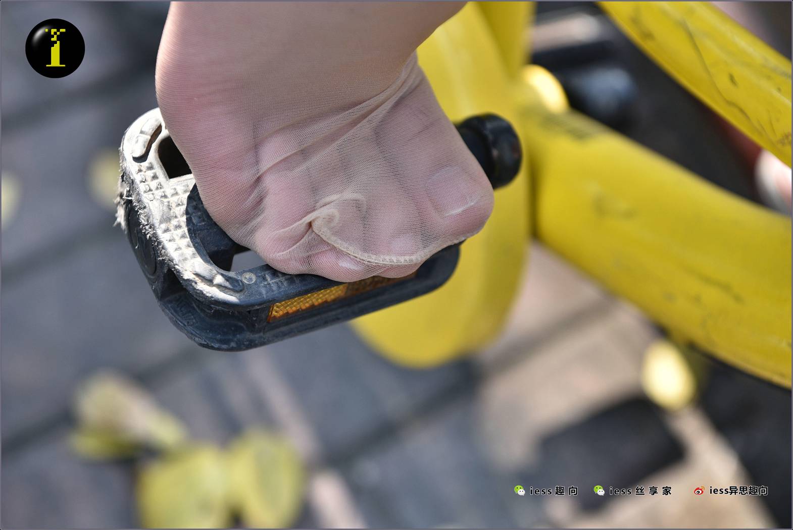 图片[93]-[IESS异思趣向] 普惠集 033 琪琪 16岁的单车少女 在线浏览 – 速更版-美库