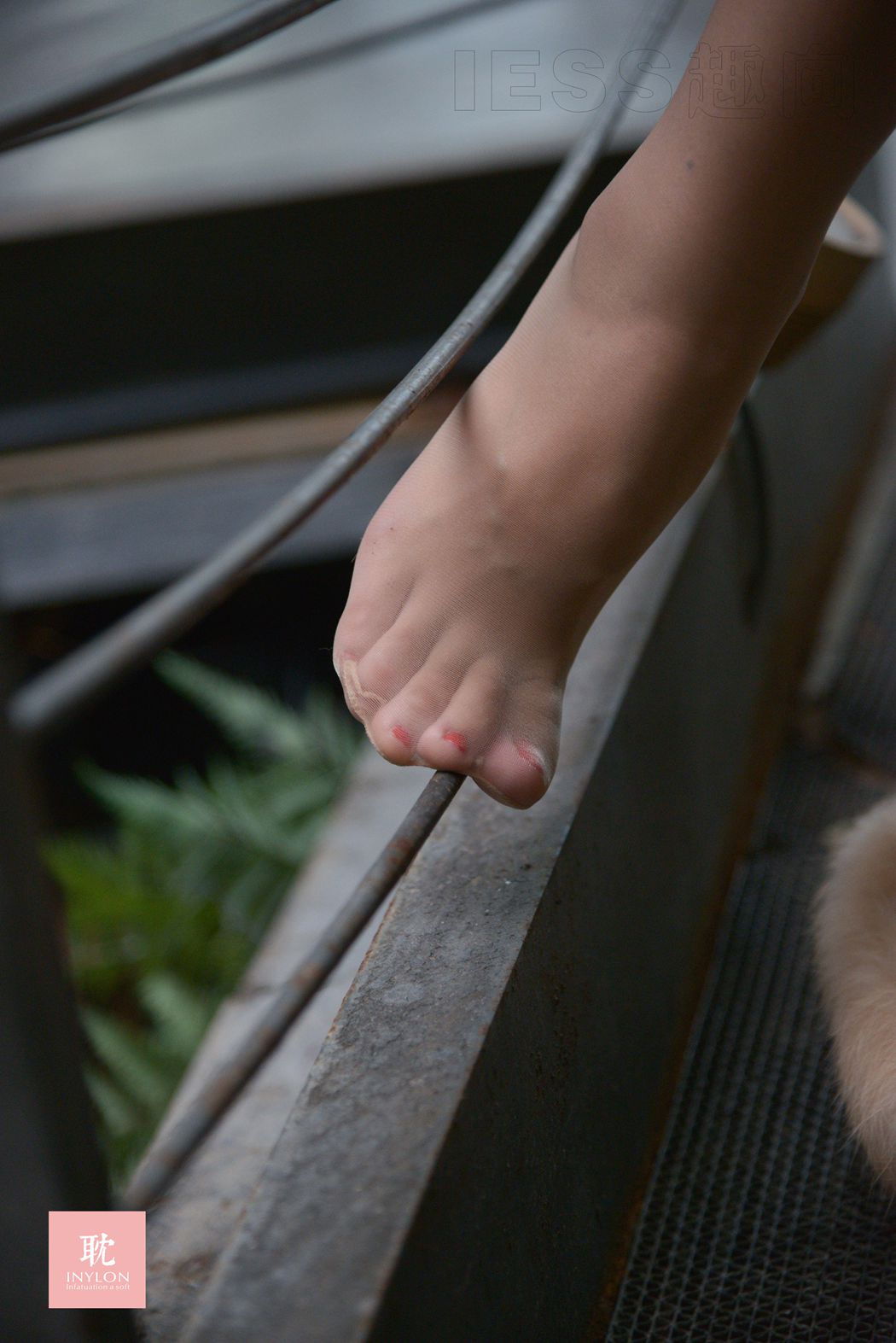 图片[36]-[IESS异思趣向] 普惠集 050-婧婧 肉丝小品 在线浏览 – 速更版-美库