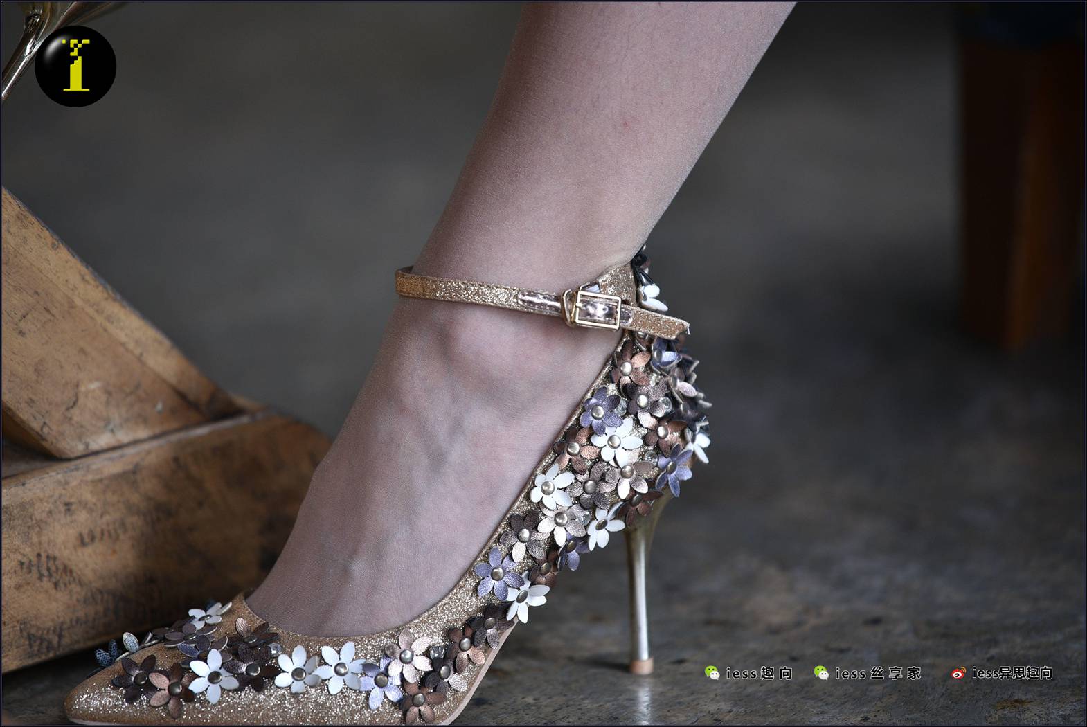 图片[65]-[IESS异思趣向] 普惠集 095-暖暖的“黄金甲” 在线浏览 – 速更版-美库