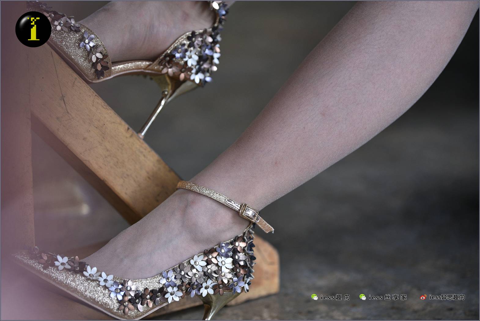 图片[45]-[IESS异思趣向] 普惠集 095-暖暖的“黄金甲” 在线浏览 – 速更版-美库